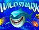 Wild Shark Vavada